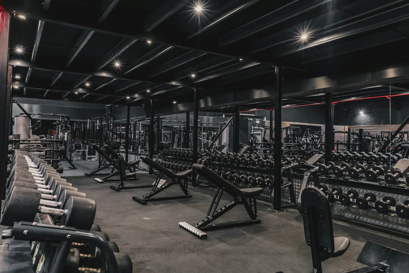 Sala principal con máquinas y bancos